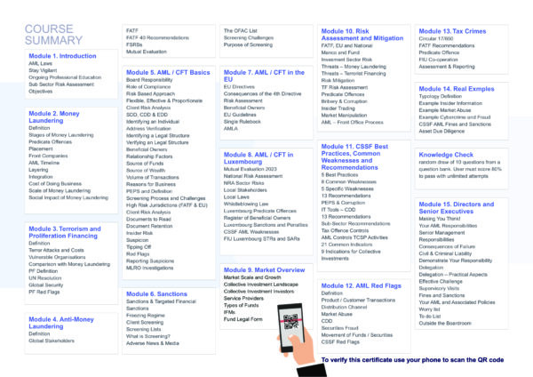elearning Course: AML for Luxembourg Investment Funds - Directors and Senior Executives Version - Image 6