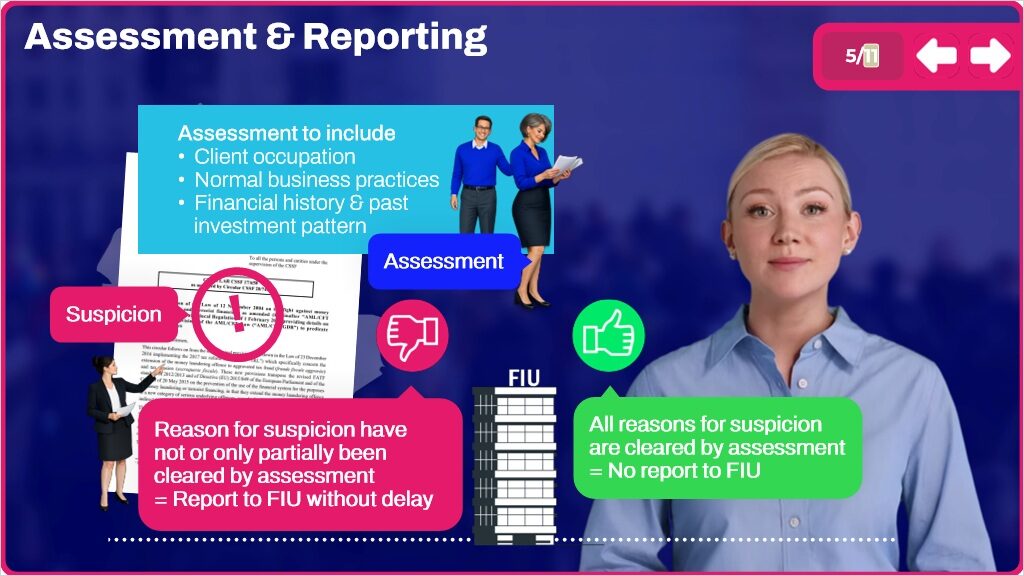 elearning Course: AML for Luxembourg Investment Funds - Directors and Senior Executives Version - Image 5