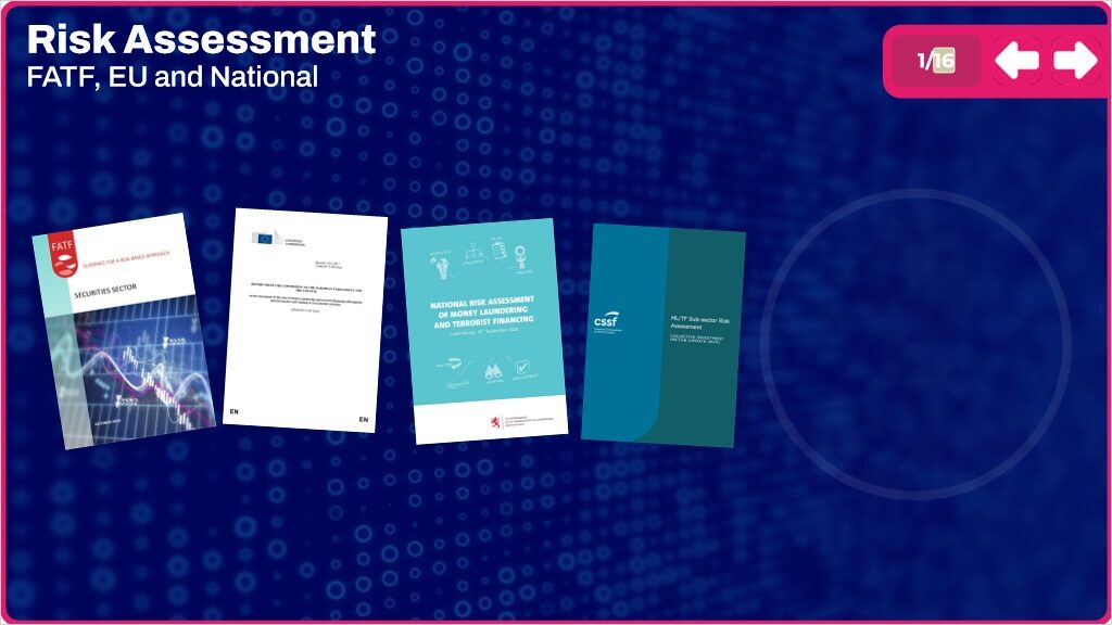 elearning Course: AML for Luxembourg Investment Funds - Directors and Senior Executives Version - Image 8